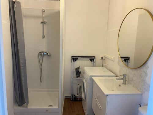une salle de bain avec une douche, un lavabo et un miroir dans l'établissement Appartement Pont Montaudran, à Toulouse
