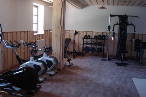 a gym with several treadmills and exercise bikes at Farmstay Hiša Pečovnik in Luče