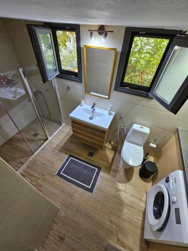 a bathroom with a sink and a shower and a toilet at Danai Traditional Apartment in Samos