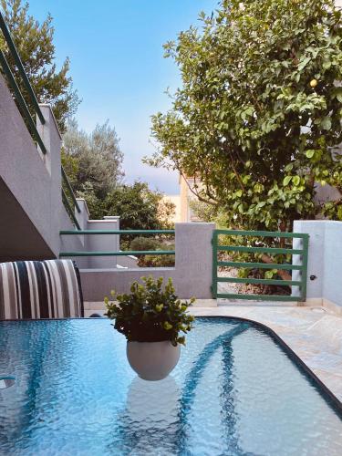 Fotografie z fotogalerie ubytování Apartments & rooms Joy of life in Makarska v destinaci Makarska