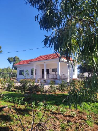 Κήπος έξω από το B&B Villa VITTORIO