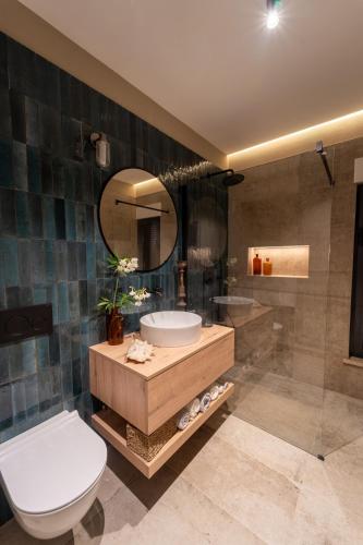 a bathroom with a toilet and a sink and a mirror at Villa Horto with Heated Pool & Sauna in Livade