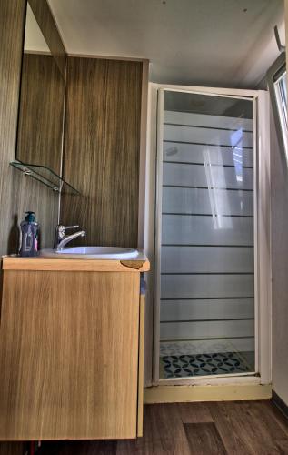 La petite salle de bains est pourvue d'une douche et d'un lavabo. dans l'établissement Mobilhome 3 chambres 6 personnes, à Saint-Loup