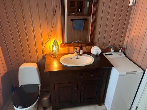 Kuchyň nebo kuchyňský kout v ubytování Charming Historic Home Your Ideal Tromsø Getaway