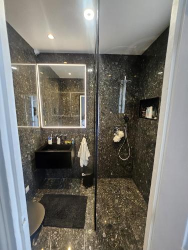 une salle de bain avec douche et lavabo dans l'établissement LUXURY APPARTMENT IN 7th DISTRICT WITH TOUR EIFFEL VIEW, à Paris