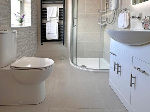 a bathroom with a toilet and a sink and a shower at The Waters Edge in Aughris