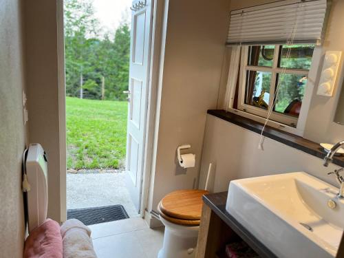 a bathroom with a toilet and a sink and a window at Siebenschläferhütte in Buchenberg