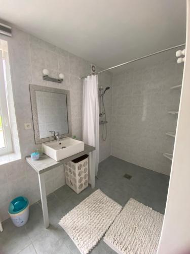 un bagno con lavandino, specchio e doccia di La Maison d'Aimé - Spacieuse et grand jardin a Banville