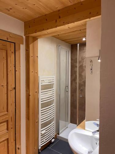 La salle de bains est pourvue d'une douche et d'un lavabo blanc. dans l'établissement Appartement Centre ville la Clusaz, à La Clusaz