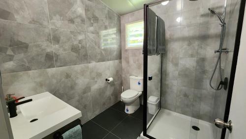 a bathroom with a shower and a toilet and a sink at Aumaru Holiday Home in Amuri