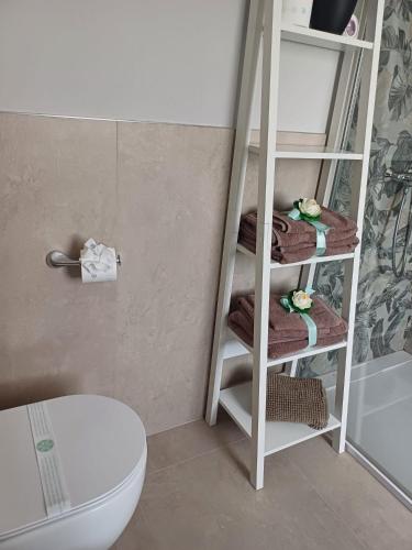 a bathroom with a ladder with towels and a toilet at Maryhouse - ingresso indipendente in Venegono Superiore