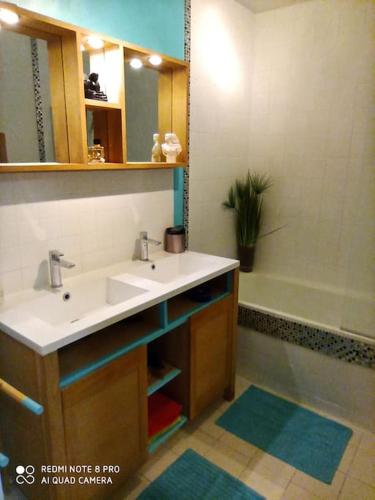 une salle de bain avec un lavabo, un miroir et une baignoire dans l'établissement Le regard bleu, à Rennes
