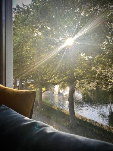 a window with the sun shining through a tree at Suite Canalhouse Majestic in Utrecht