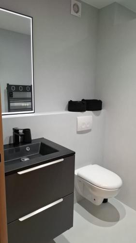 une salle de bain avec toilettes, lavabo et miroir dans l'établissement Historic Bright and Beautiful Apartment in Old Nice with Castle Hill View, à Nice