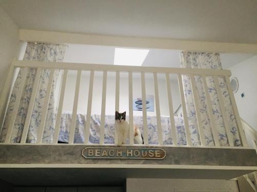 un chat assis sur le dessus d'un berceau dans l'établissement Chez Karine et Rodolphe, à Saint-Michel-Chef-Chef