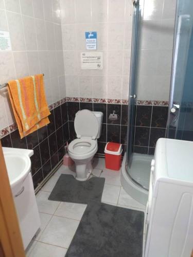 a small bathroom with a toilet and a shower at Guest House Shyrdak in Kochkor