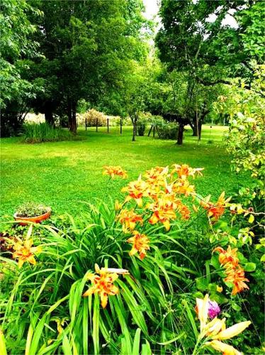a garden of flowers in a park with trees at Gîte Villa LORTIN in Pouillon