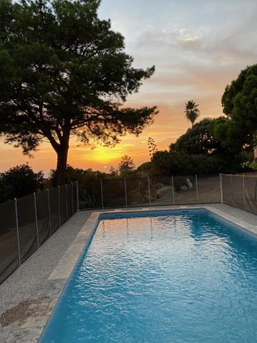 une piscine bleue avec un arbre en arrière-plan dans l'établissement A Pineta Corsa, à Pietrosella