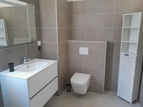 une salle de bain avec un lavabo blanc et des toilettes dans l'établissement Appartement 4 couchages Borgo, à Borgo