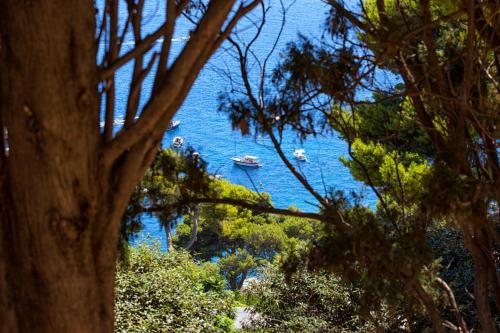 a view of a beach with boats in the water at Casa Schiattarella Capri in Capri