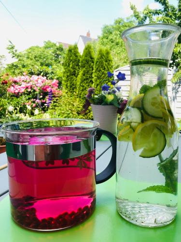 a vase and a glass of water and a vase of lemonade at Ferienhaus Plan B. Wittlich in Wittlich