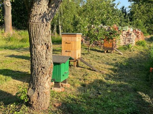 Κήπος έξω από το Agroturystyka Borów
