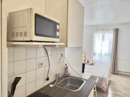 une cuisine avec un évier et un micro-ondes dans l'établissement Devenez voisin du Président, à Paris