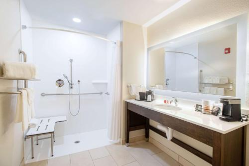 a bathroom with a sink and a shower at Econo Lodge Inn & Suites Foley-North Gulf Shores in Foley