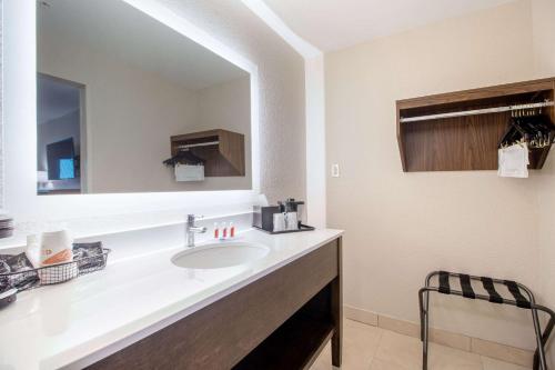 a bathroom with a sink and a mirror at Econo Lodge Inn & Suites Foley-North Gulf Shores in Foley
