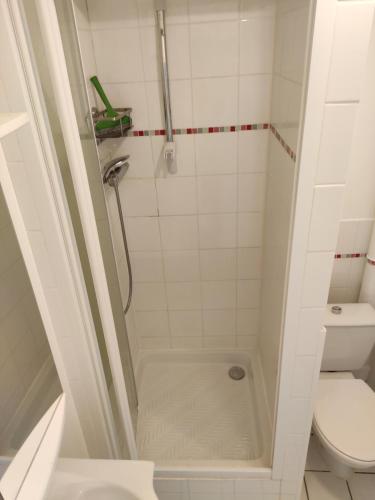 une salle de bain avec douche et toilettes dans l'établissement Au pti Logis Du Summer 2, à Brioude