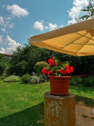 a flower pot sitting on a stump under an umbrella at Pensiunea Vila Silva I in Haţeg