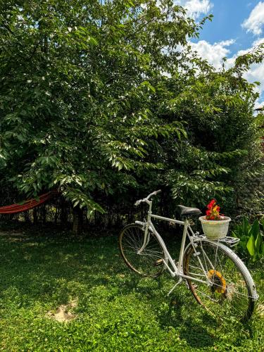 a bike parked in the grass next to a tree at Pensiunea Vila Silva I in Haţeg