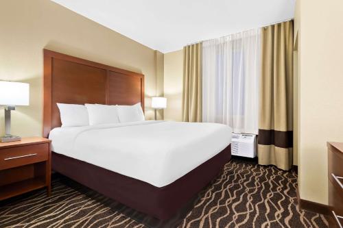 Comfort Suites Tampa Airport North Image