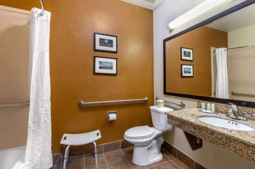 a bathroom with a toilet and a sink and a mirror at Quality Suites Addison-Dallas in Addison