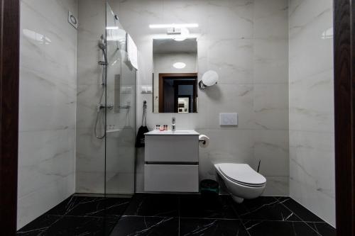 a bathroom with a toilet and a shower at Sleep&Fly Okęcie Warsaw Airport in Warsaw