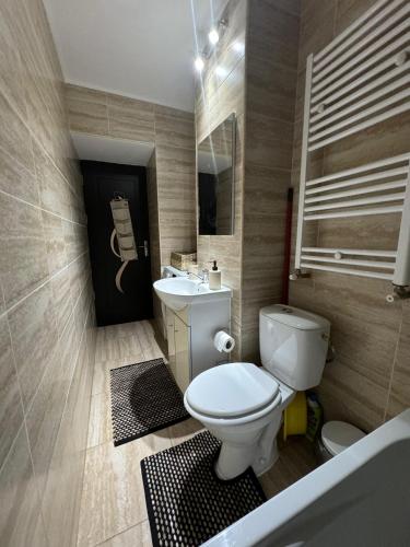 a bathroom with a toilet and a sink at Oly Apartment in Năvodari