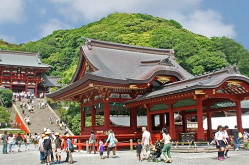 Discover Tokyo's soul Your cozy Japanese escape!