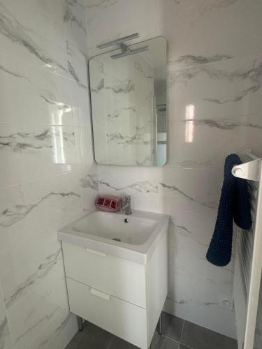 une salle de bains blanche avec un lavabo et un miroir dans l'établissement A supprimer, à Grenoble
