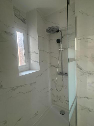une salle de bains avec douche et murs en marbre blanc dans l'établissement A supprimer, à Grenoble