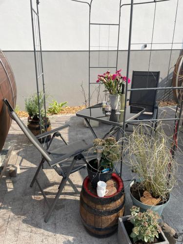 a table and chairs with potted plants on a patio at Schlafen im Weinfass in Ipsheim