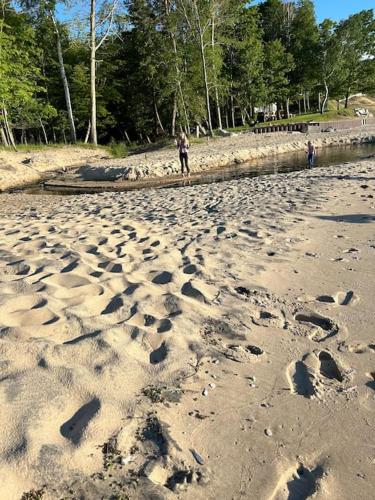 a person standing on a beach with footprints in the sand at The Amazing Escape in Manistee