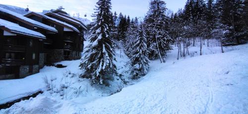 a snow covered yard next to a house with trees at Valmorel in Valmorel