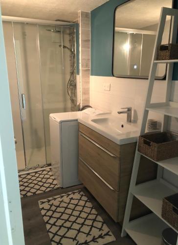 La salle de bains est pourvue d'une douche, d'un lavabo et d'une échelle. dans l'établissement Chalet Colchiques, à Gère-Belesten