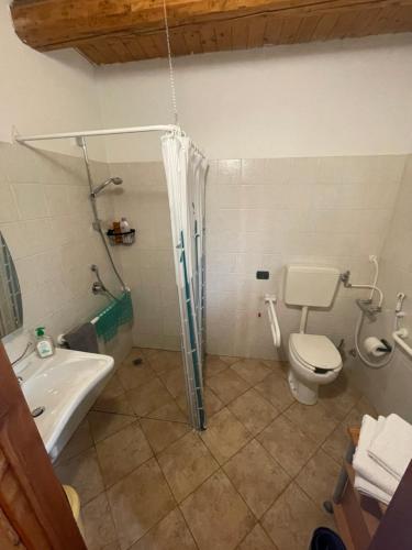 a bathroom with a shower and a toilet and a sink at Agriturismo al pra di muriet in Susa
