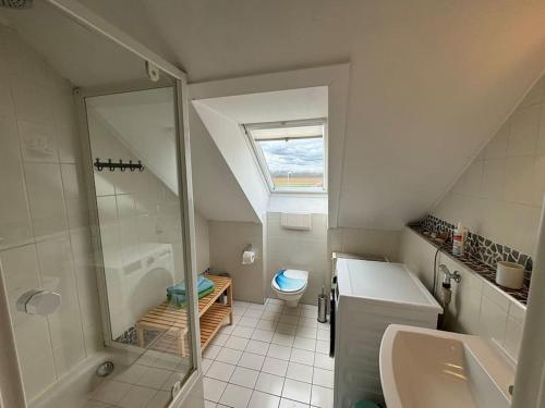 a bathroom with a shower and a sink and a toilet at Fewo Thermenhafen Erding in Erding