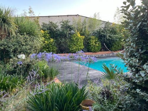 une piscine dans un jardin avec des plantes dans l'établissement Colombier Occitan, à Noé