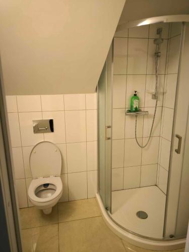 a small bathroom with a shower and a toilet at Elpo House in Neveronys