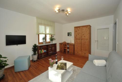 Una sala de estar con un sofá y un televisor. en Ferienwohnung Refugium, en Karlsbad