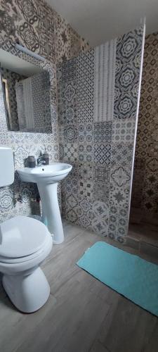 a bathroom with a toilet and a sink at CASA RYANA SINAIA in Sinaia