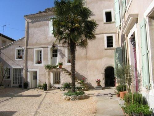 una palmera delante de un edificio en Occ34 - Capestang - Vigneron, en Capestang